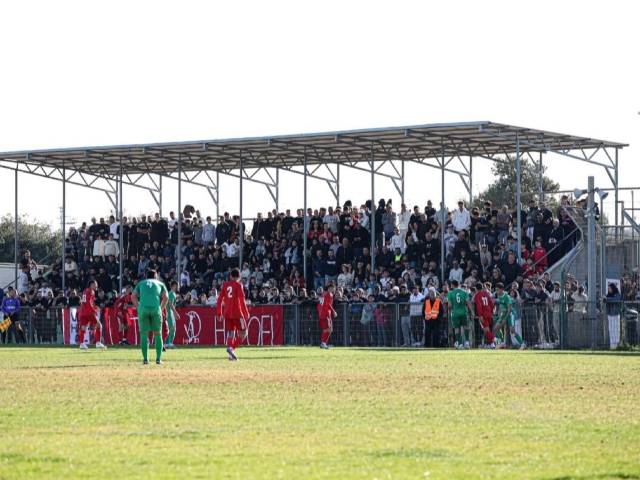 הקהל התוסס (עבדאללה סעדי)